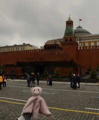 Bear - Visiting Lenin s Tomb - Moscow  Russia